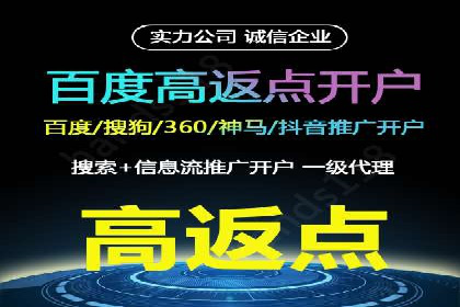 深度解析：百度竞价代理的优化策略与成功案例