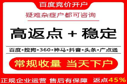 SEM推广案例：揭秘高ROI背后的策略与实践